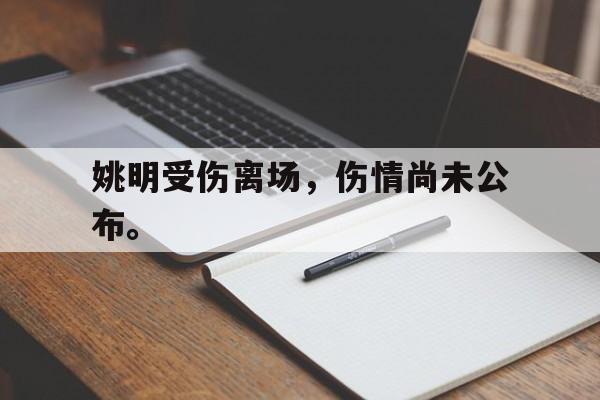 畅玩电子游戏-姚明受伤离场，伤情尚未公布。