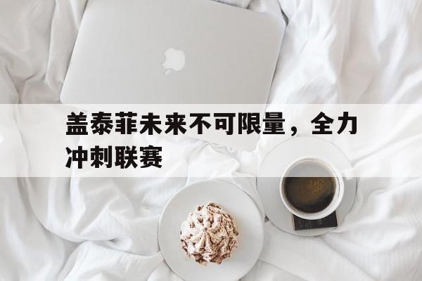 华体会电脑版登录口-盖泰菲未来不可限量，全力冲刺联赛